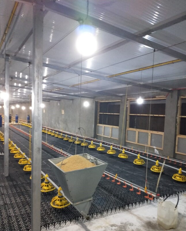 WhatsApp Image 2024-08-16 at 3.53.21 AM (5).jpeg